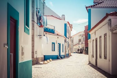 Sintra, Mafra and Ericeira private tour